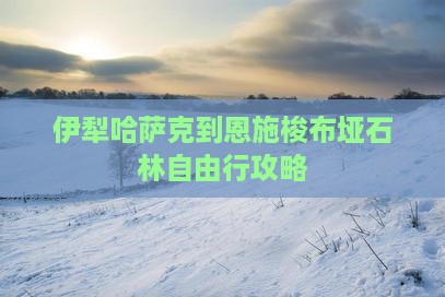 伊犁哈萨克到恩施梭布垭石林自由行攻略