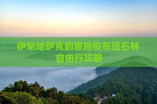伊犁哈萨克到恩施梭布垭石林自由行攻略