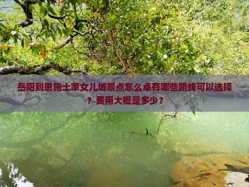 岳阳到恩施土家女儿城景点怎么卓有哪些路线可以选择？费用大概是多少？