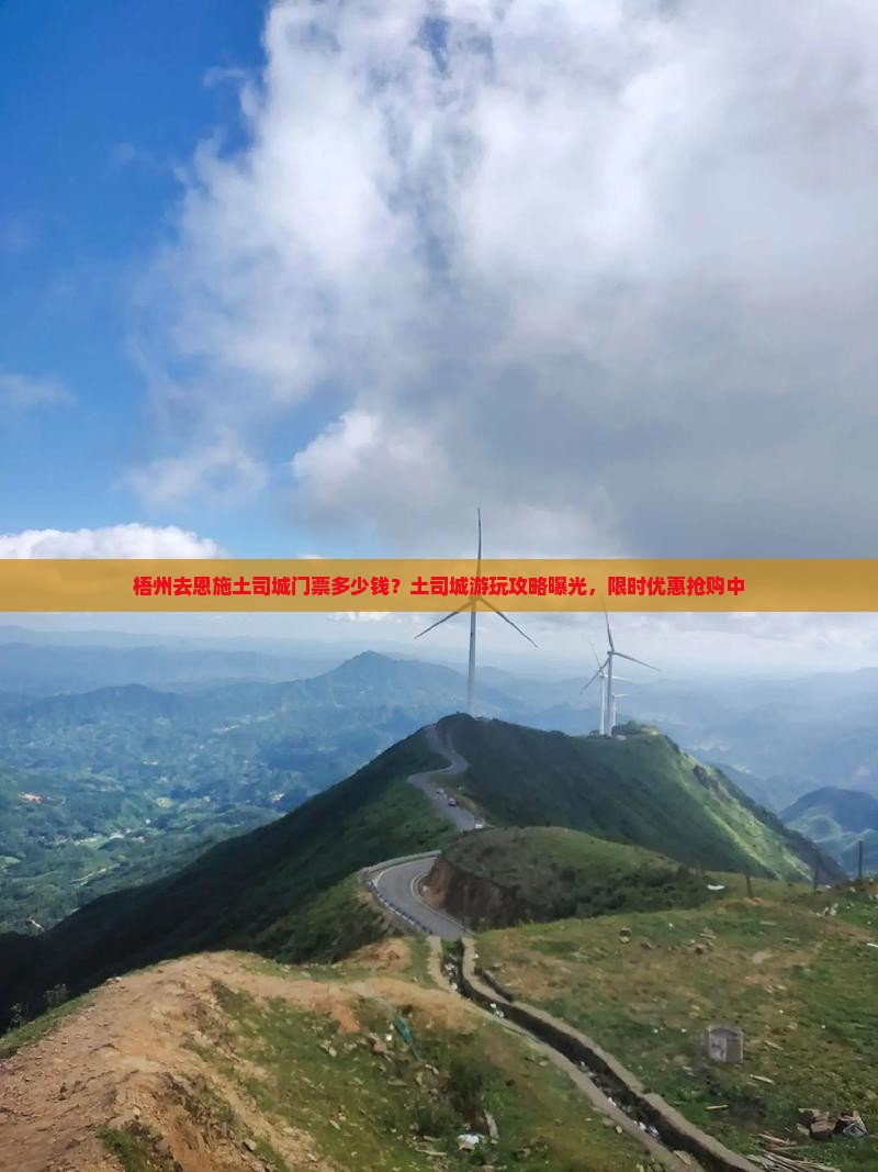 梧州去恩施土司城门票多少钱？土司城游玩攻略曝光，限时优惠抢购中