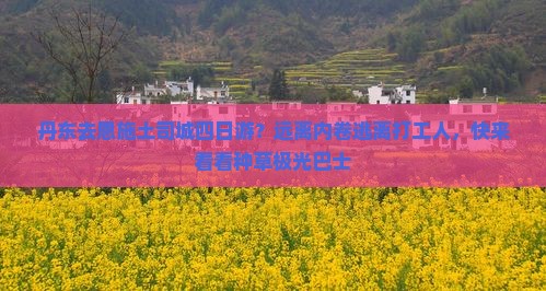 丹东去恩施土司城四日游？远离内卷逃离打工人，快来看看种草极光巴士