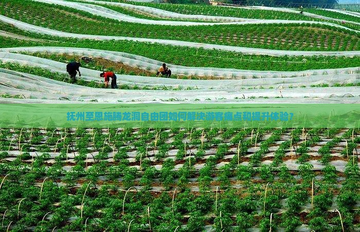 抚州至恩施腾龙洞自由团如何解决游客痛点和提升体验？