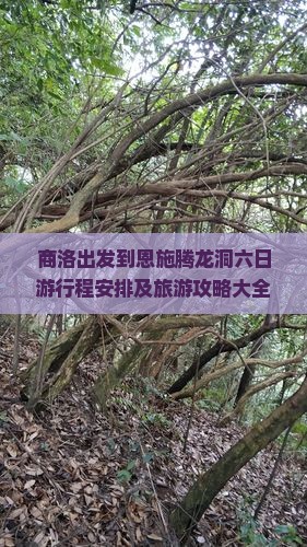 商洛出发到恩施腾龙洞六日游行程安排及旅游攻略大全？