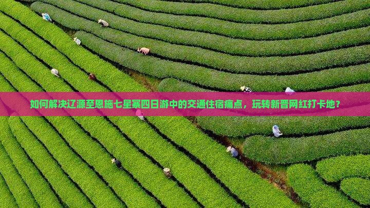 如何解决辽源至恩施七星寨四日游中的交通住宿痛点，玩转新晋网红打卡地？