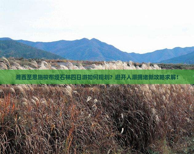 湘西至恩施梭布垭石林四日游如何规划？避开人潮拥堵新攻略求解！