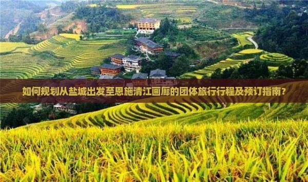 如何规划从盐城出发至恩施清江画廊的团体旅行行程及预订指南？