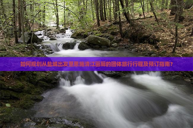 如何规划从盐城出发至恩施清江画廊的团体旅行行程及预订指南？