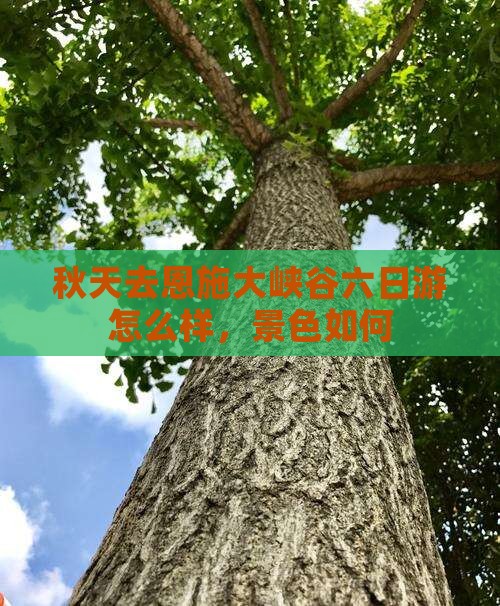 秋天去恩施大峡谷六日游怎么样，景色如何