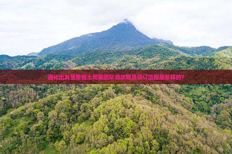 通化出发至恩施土司城团队游攻略及预订流程是怎样的？
