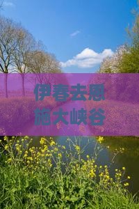 伊春去恩施大峡谷个人游攻略及路线推荐