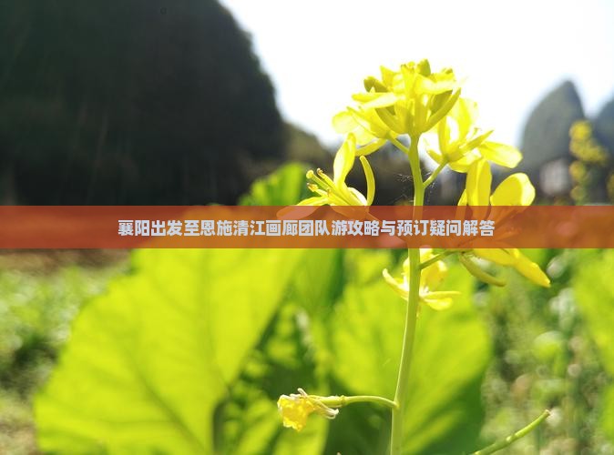 襄阳出发至恩施清江画廊团队游攻略与预订疑问解答