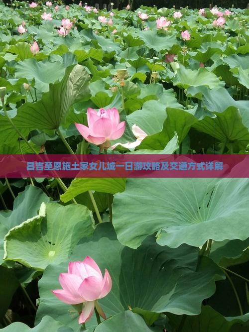 昌吉至恩施土家女儿城一日游攻略及交通方式详解