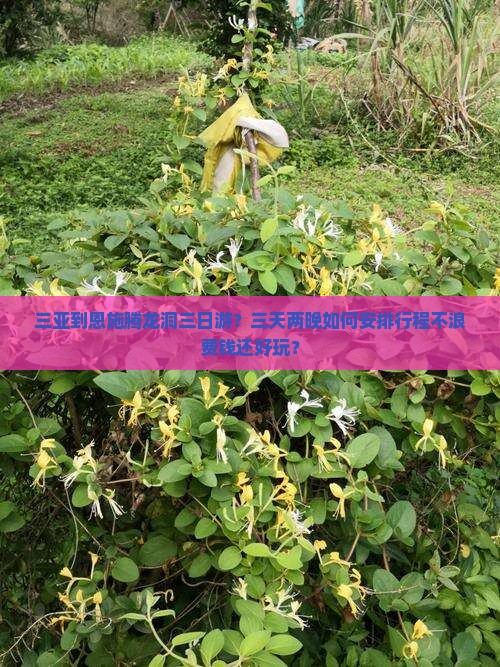 三亚到恩施腾龙洞三日游？三天两晚如何安排行程不浪费钱还好玩？