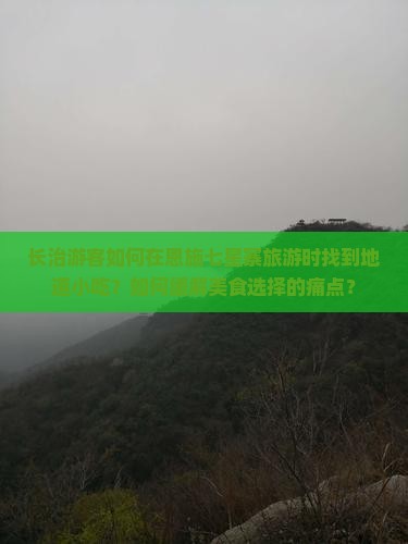 长治游客如何在恩施七星寨旅游时找到地道小吃？如何缓解美食选择的痛点？