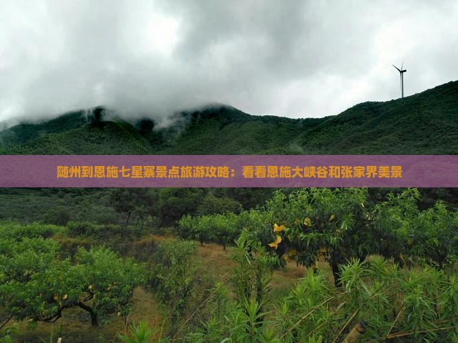 随州到恩施七星寨景点旅游攻略：看看恩施大峡谷和张家界美景