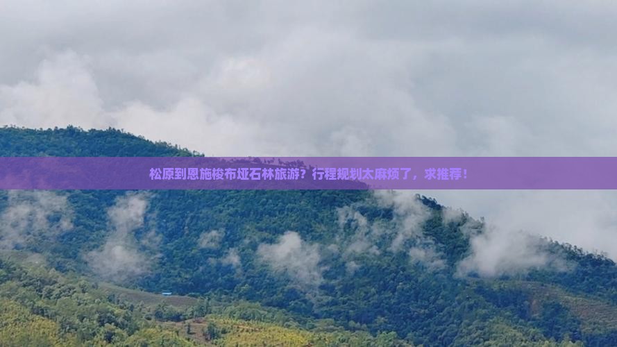 松原到恩施梭布垭石林旅游？行程规划太麻烦了，求推荐！