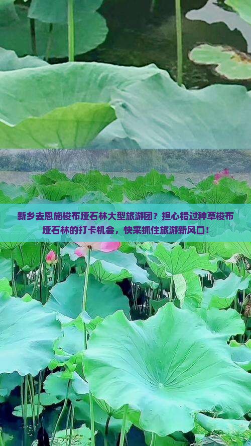 新乡去恩施梭布垭石林大型旅游团？担心错过种草梭布垭石林的打卡机会，快来抓住旅游新风口！