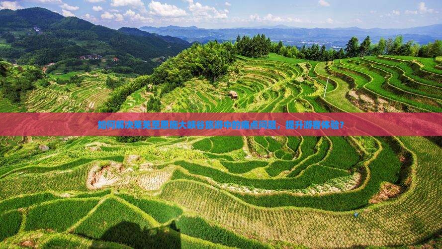 如何解决莱芜至恩施大峡谷旅游中的痛点问题，提升游客体验？
