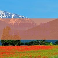 六日游攻略：湘西至恩施土家女儿城如何规划行程与体验当地风情？