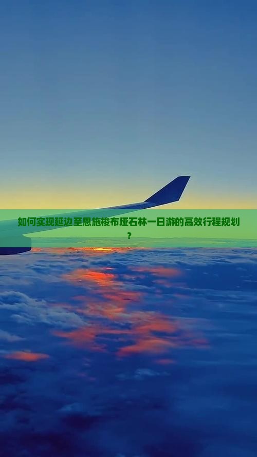 如何实现延边至恩施梭布垭石林一日游的高效行程规划？