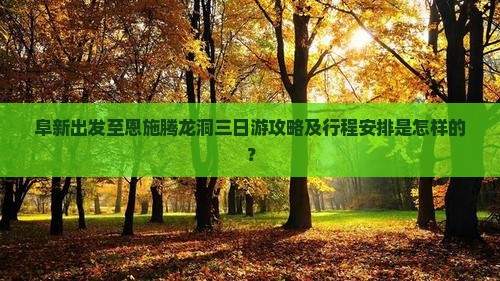 阜新出发至恩施腾龙洞三日游攻略及行程安排是怎样的？
