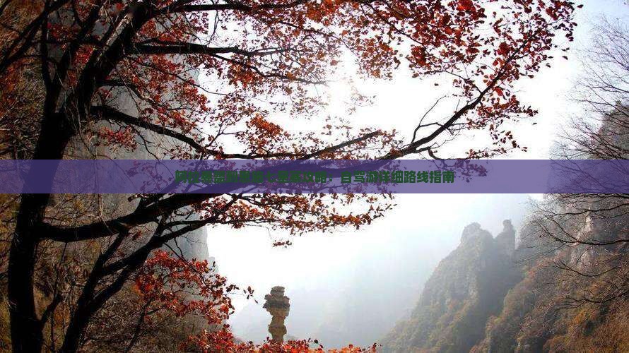 阿拉善盟到恩施七星寨攻略：自驾游详细路线指南