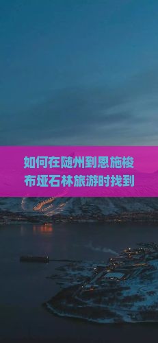 如何在随州到恩施梭布垭石林旅游时找到地道小吃？哪些美食不容错过？