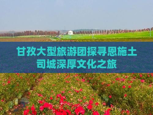 甘孜大型旅游团探寻恩施土司城深厚文化之旅