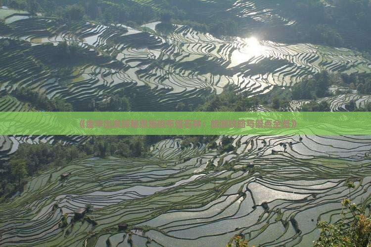 《金华出发探秘恩施梭布垭石林：旅游攻略与景点全览》