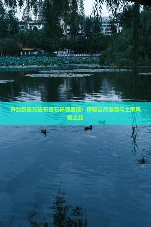 开封到恩施梭布垭石林哪里玩:探秘自然奇观与土家风情之旅 开封到恩施梭布垭石林哪里玩:探秘自然奇观与土家风情之旅