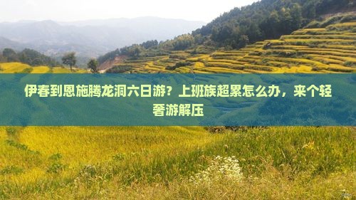 伊春到恩施腾龙洞六日游？上班族超累怎么办，来个轻奢游解压