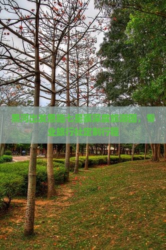 黑河出发恩施七星寨深度旅游团，专业旅行社定制行程