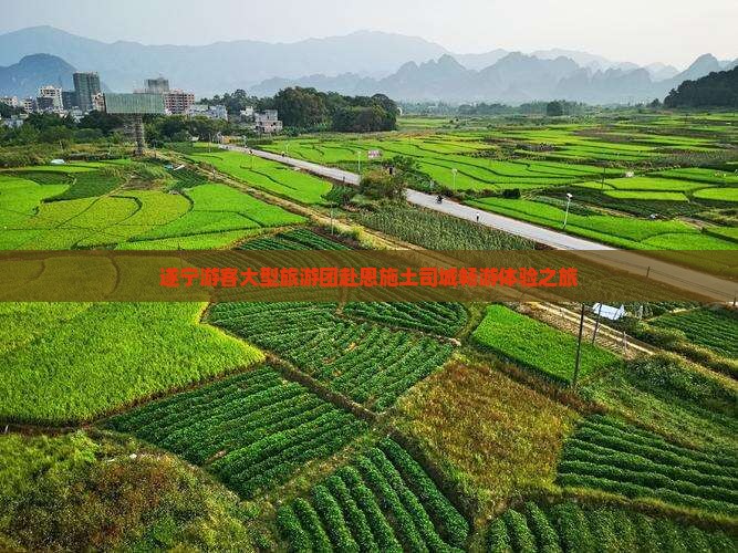 遂宁游客大型旅游团赴恩施土司城畅游体验之旅