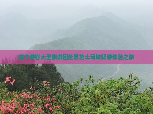 遂宁游客大型旅游团赴恩施土司城畅游体验之旅