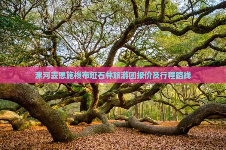 漯河去恩施梭布垭石林旅游团报价及行程路线