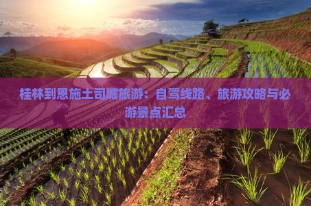 桂林到恩施土司城旅游：自驾线路、旅游攻略与必游景点汇总