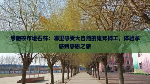 恩施梭布垭石林：哪里感受大自然的鬼斧神工，体验孝感到感恩之旅