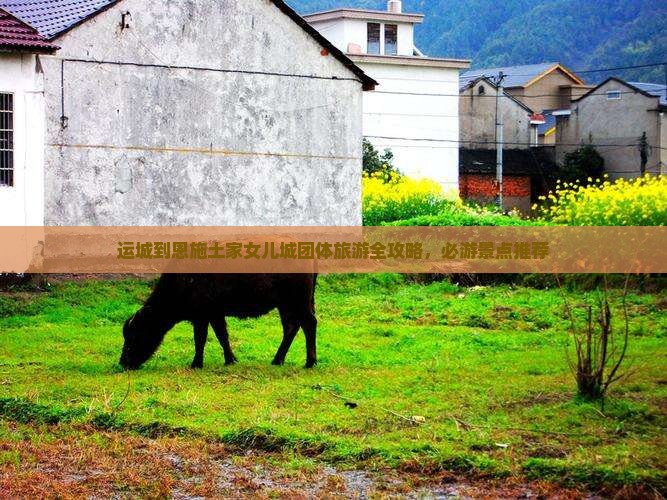 运城到恩施土家女儿城团体旅游全攻略，必游景点推荐