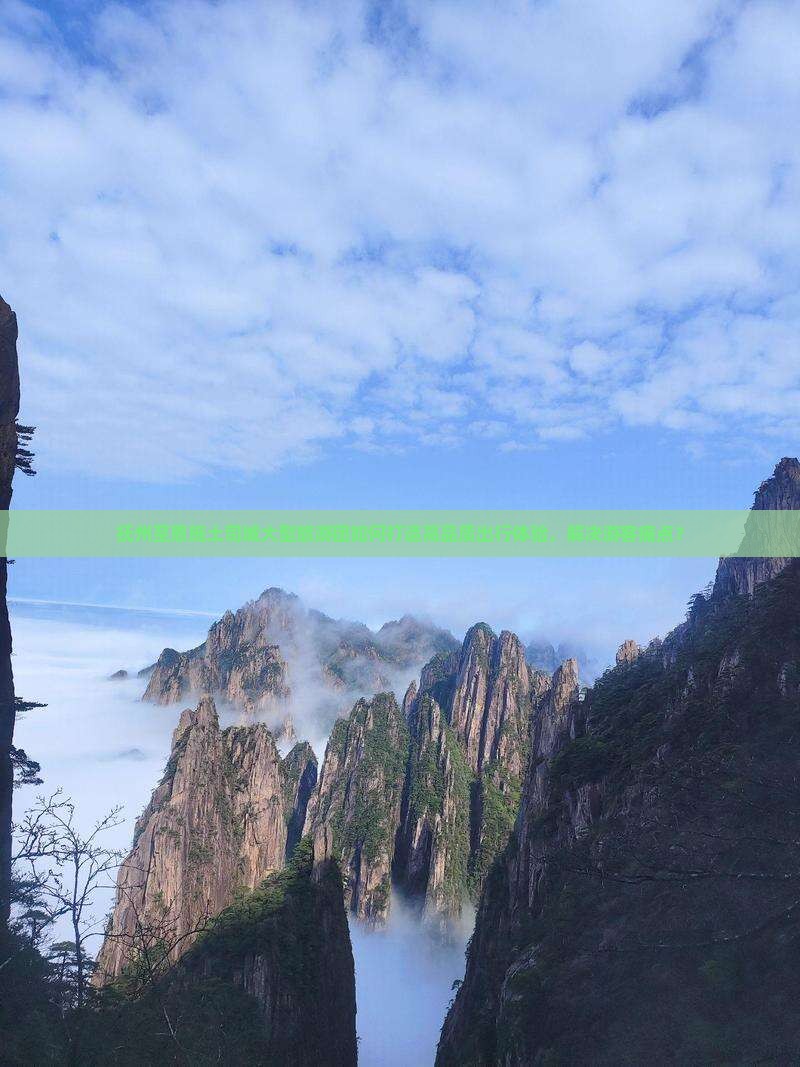 抚州至恩施土司城大型旅游团如何打造高品质出行体验，解决游客痛点？