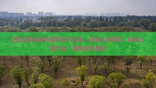 辽阳去恩施梭布垭石林六日游：探秘土家风情、体验土司文化、领略自然奇观