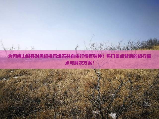 为何佛山游客对恩施梭布垭石林自由行情有独钟？热门景点背后的旅行痛点与解决方案！