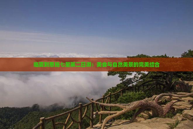 临夏到恩施七星寨二日游：美食与自然美景的完美结合