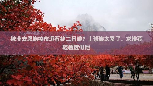 株洲去恩施梭布垭石林二日游?上班族太累了,求推荐轻奢度假地 株洲去恩施梭布垭石林二日游?上班族太累了,求推荐轻奢度假地
