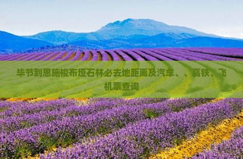 毕节到恩施梭布垭石林必去地距离及汽车、、高铁、飞机票查询