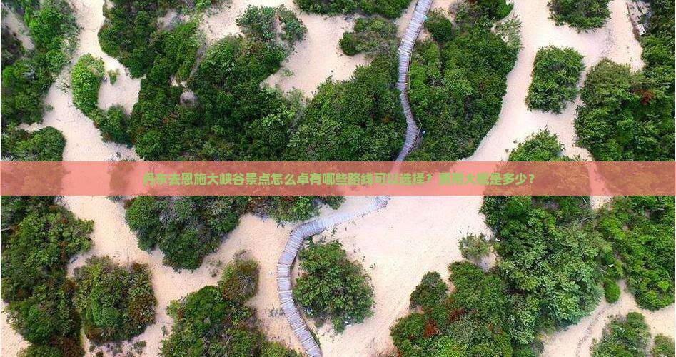 丹东去恩施大峡谷景点怎么卓有哪些路线可以选择？费用大概是多少？