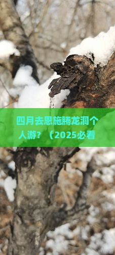 四月去恩施腾龙洞个人游