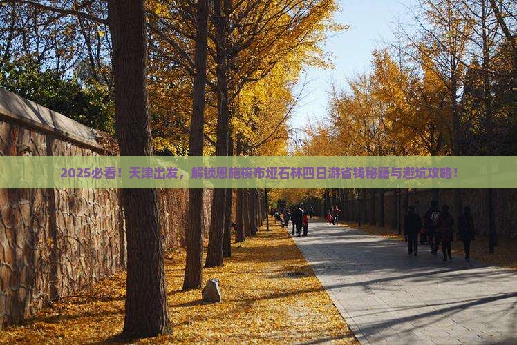 天津到恩施梭布垭石林四日游 天津到恩施梭布垭石林四日游