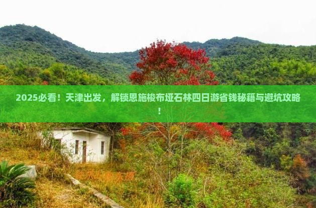 天津到恩施梭布垭石林四日游 天津到恩施梭布垭石林四日游
