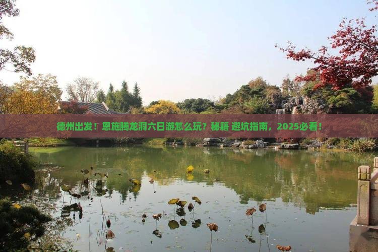 德州到恩施腾龙洞六日游