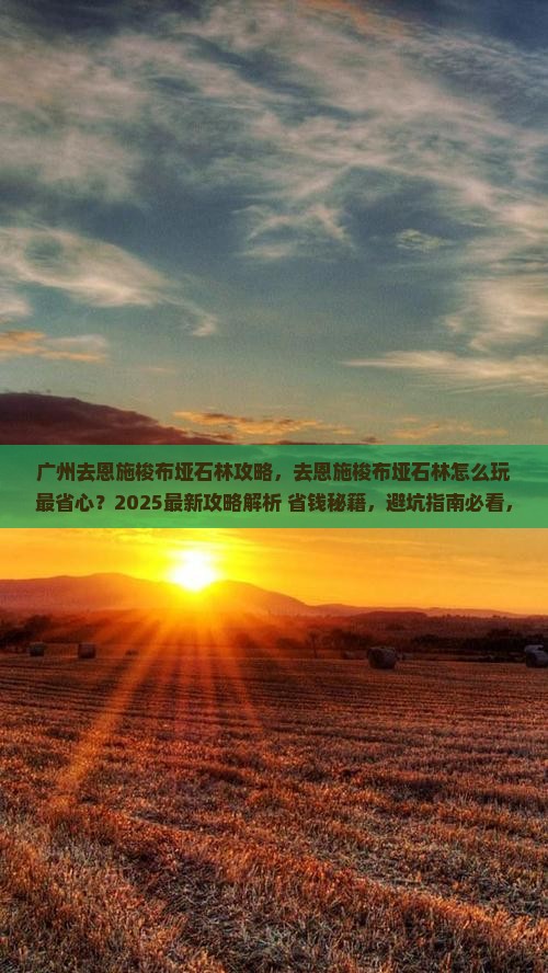 广州去恩施梭布垭石林攻略